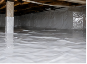 Clean crawlspace for mold prevention